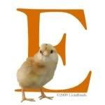 Awesome Chicks of Etsy Logo