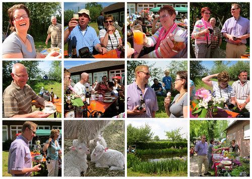 Flamingofrühling Zwillbrock 2011 by Marcel van Gunst