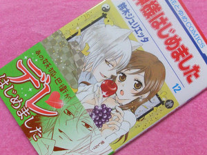 神様はじめました １２巻 毎日が萌え日和