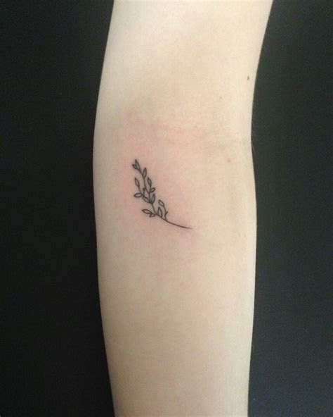 tiny tattoo idea olive branch tattoo tattooviral