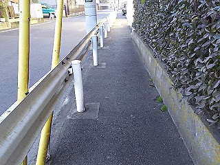山下川の支流 生田浄水場付近からの支流 山はなくても川はある