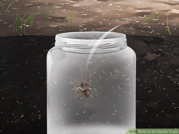 Set Spider Traps Step 8 Version 3.jpg
