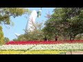 [無料ダウンロード！ √] 万博 公園 チューリップ 807173-万博公園 チューリップの花園