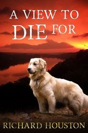 A View To Die For by Richard Houston