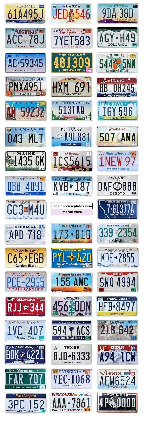License Plates Of The United States Of America