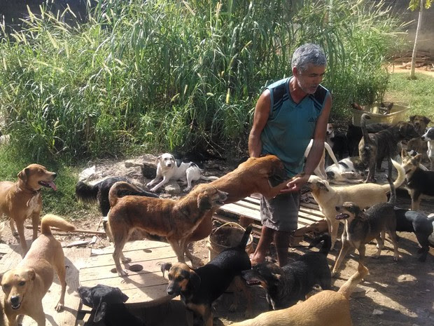 "Seu Paulo" cuida de cerca 90 cães em um terreno em Campo Grande. (Foto: Cristina Boeckel/ G1)