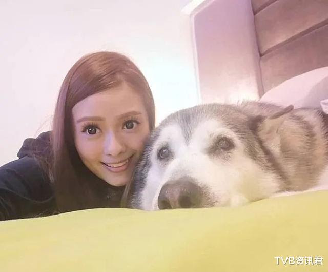 最多活1年 Tvb著名女星公布爱犬不幸患上淋巴癌 已经开始做化疗 娱乐资讯 八戒游戏