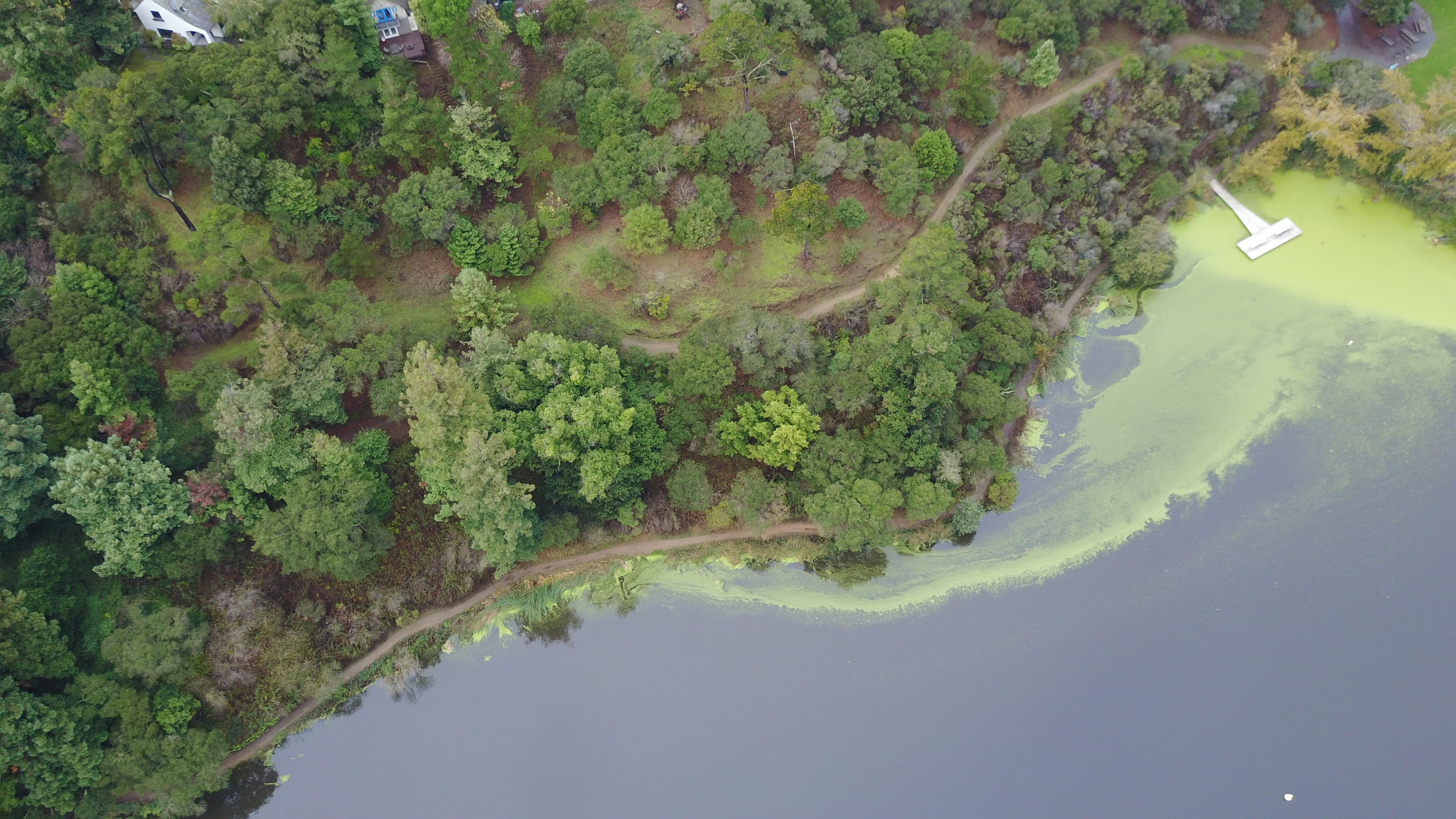 DJI Mavic Pro washed out/blurry right side? | DJI FORUM