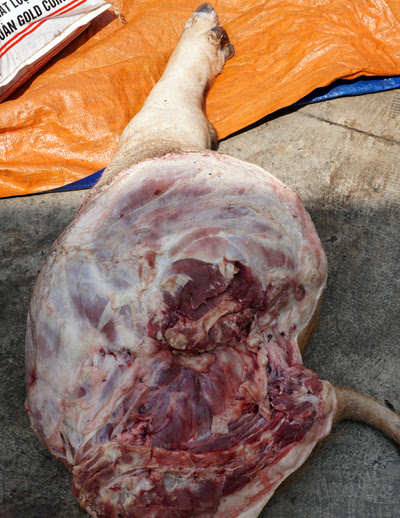 ham-lai-cao-nong-dan-dung-chat-cam
