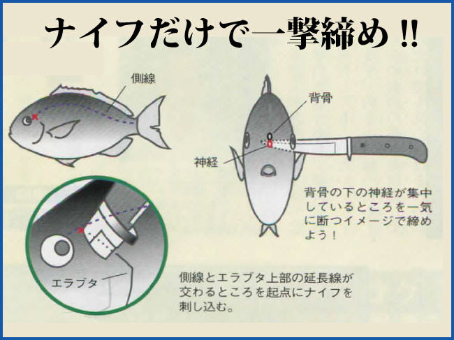 ナイフで〆る ナイフvol 1 5