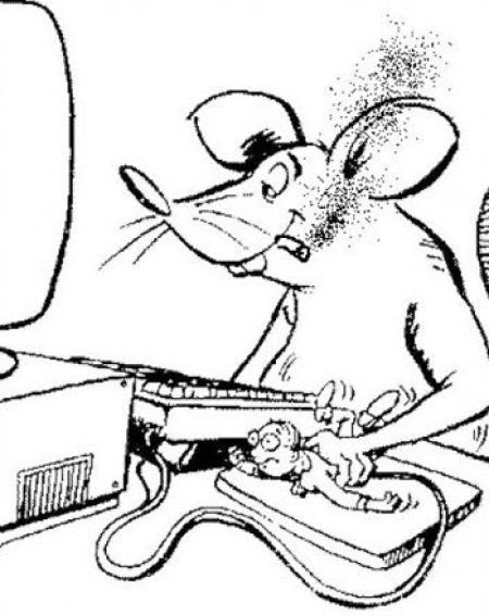 Somewhere in the Parallel Universe