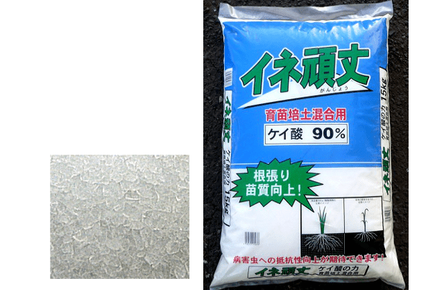 イネ頑丈 セントラルグリーン株式会社 新潟県新発田市 肥料 培養土の製造販売 緑化工事 園芸 農業