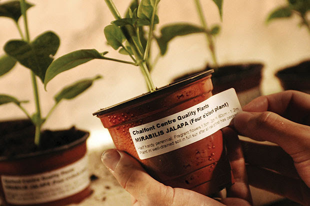 Horticulture Labels - Expert Labels