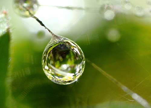 drop ALR_0022d