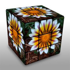 Gazinia Cube