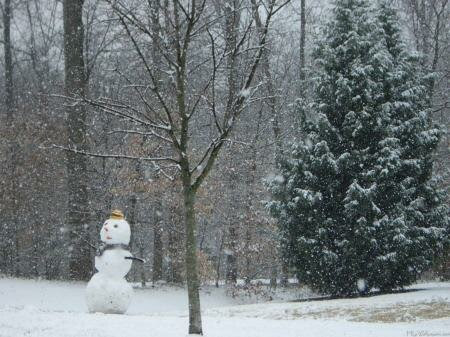 Winter Backgrounds on Winter Christmas Wallpaper 11 Winter And Christmas Wallpapers  Windows