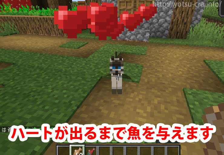 マインクラフト 猫の見た目全種類まとめ 村から連れて帰ろう