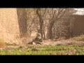 Marines in Marjah Afghanistan