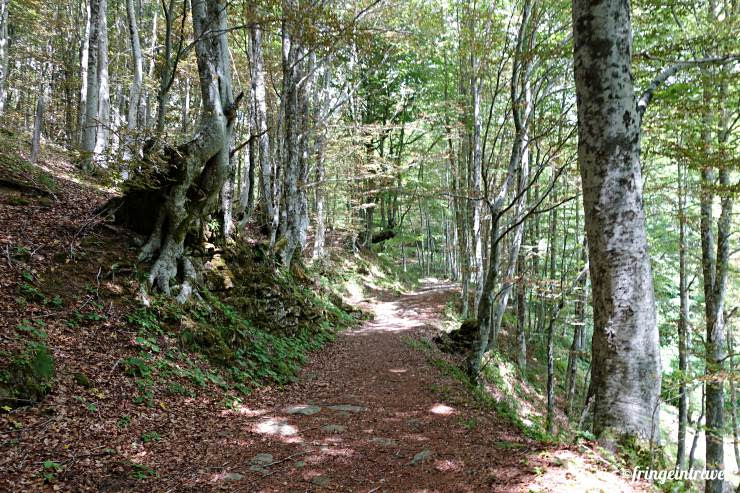 monte fumaiolo trekking sorgente tevere