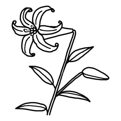 ユリ 百合 2 夏の花 無料 白黒イラスト素材