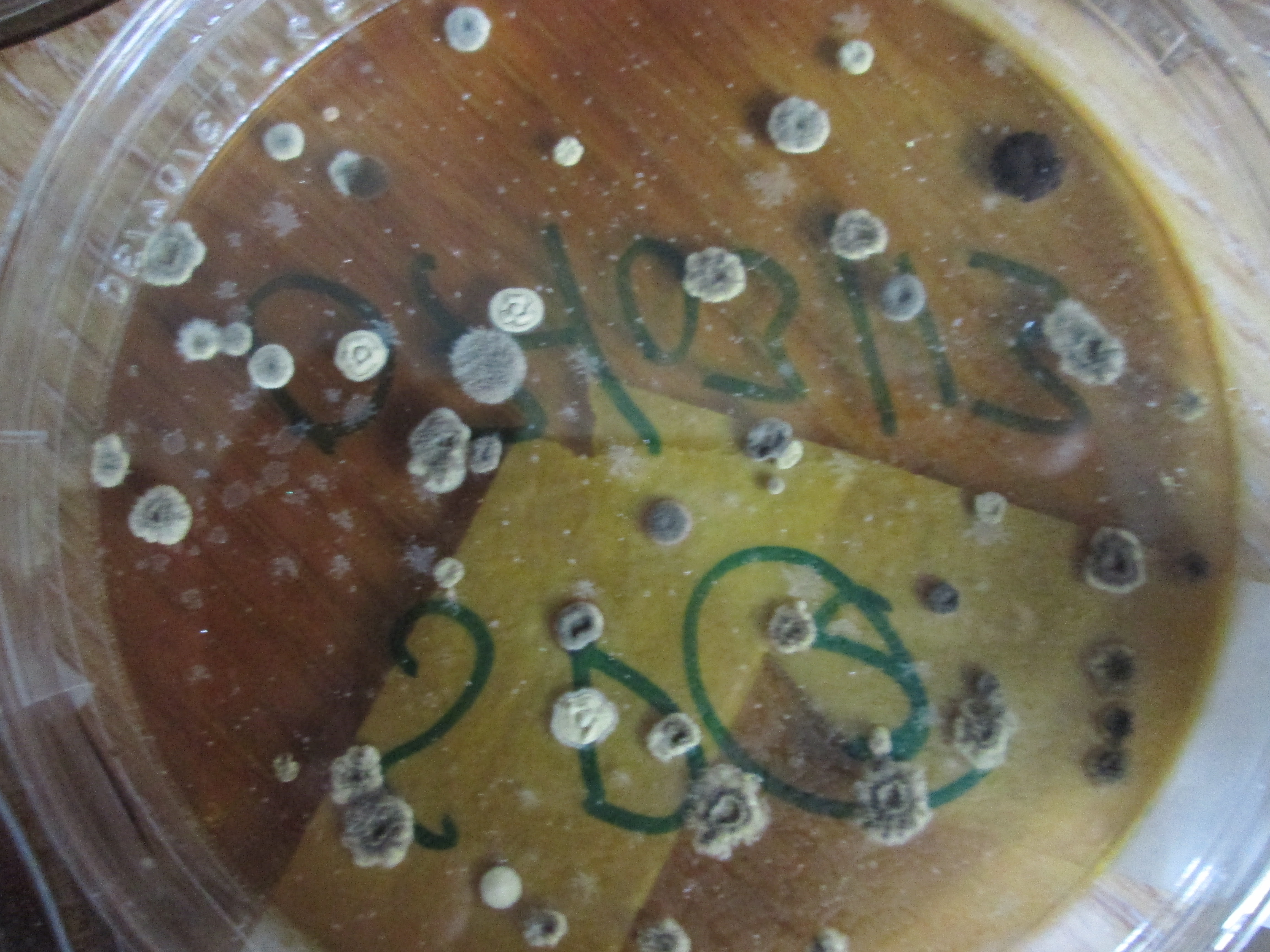 Bedroom Furniture Leicester Bedroom Furniture Leicester