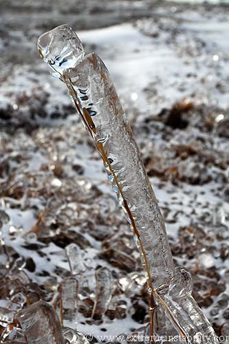 350128018 bdd46ee617 Icy Photos
