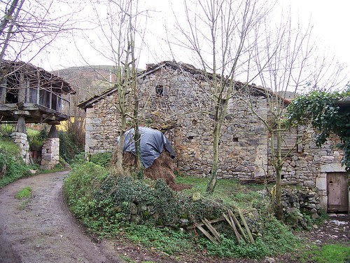 Blog de Asturias "Desde Triapeña"