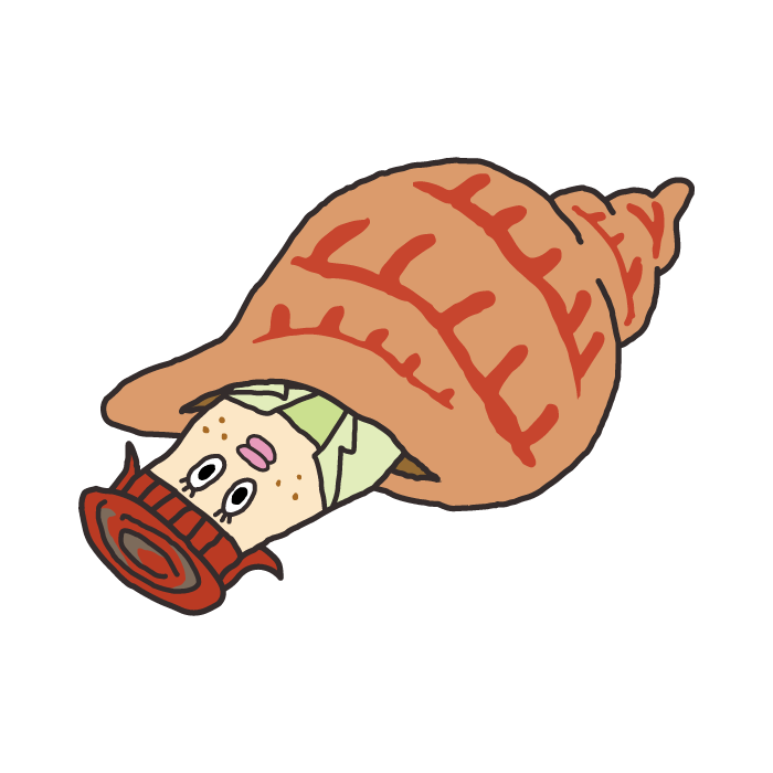 貝セブン決定 貝社員総選挙結果発表