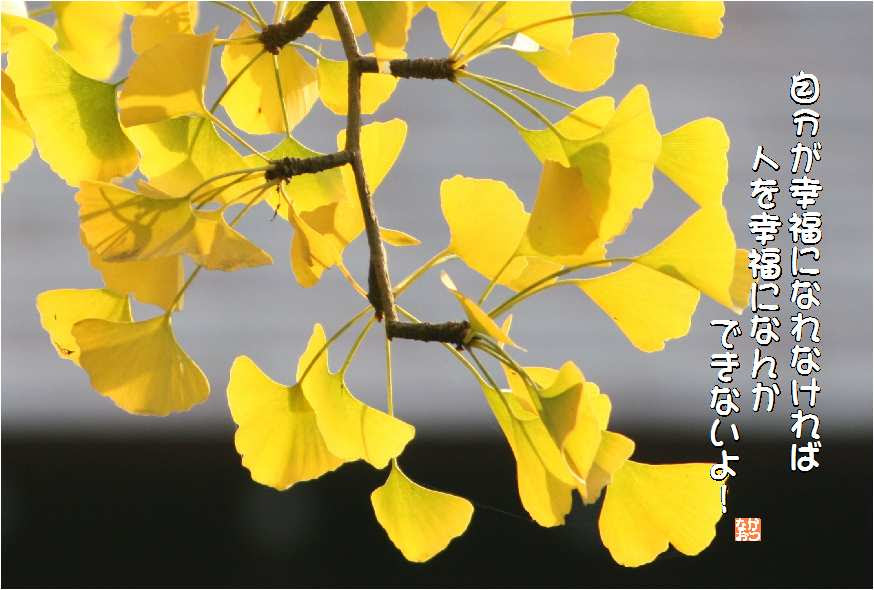 No 38 イチョウ 花言葉 長寿 なおかつ フォトエッセイ