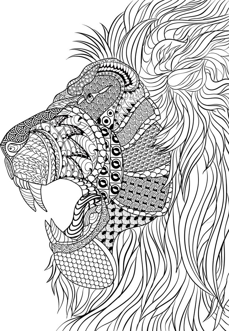 Download Animal Drawing Pdf at GetDrawings | Free download