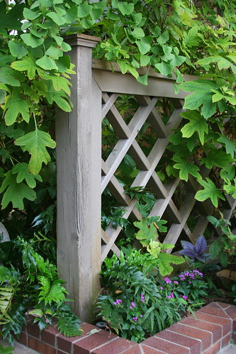 great fencing