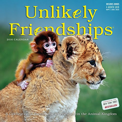 Unlikely Friendships Wall Calendar 2016, by Jennifer S. Holland