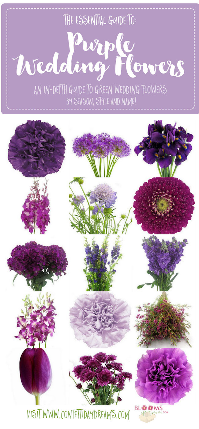 Complete Guide to Purple Wedding Flowers, Purple Flower ...
