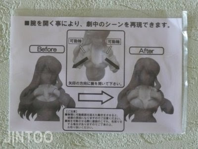 http://jintoo.free.fr/collections/reviews/Asahina_Mikuru_Adult_MF/mikuru_adult_notice.th.jpg