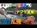 [最も選択された] ハマチ 釣り方 ルアー 473853-ハマチ 釣り方 ルアー