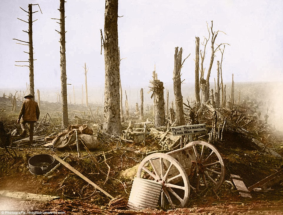 A sign reading 'pack transport this way' sticks out among leafless trees stripped by artillery fire near the frontline of the Somme battle