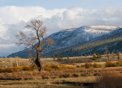 Lamar Landscape
