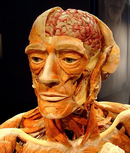 Sabine Hossenfelder: Backreaction: Body Worlds