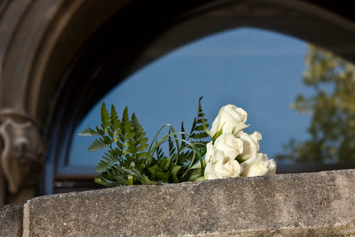 White roses