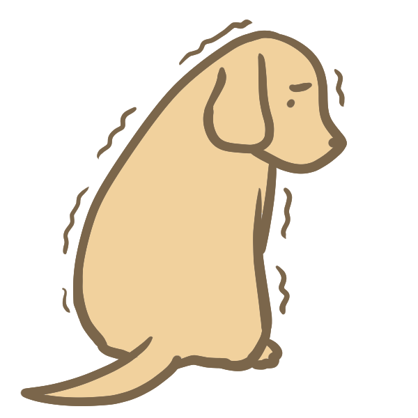 犬がこたつに入る理由は 飼い主さんが大好きだから 犬がこたつで丸くなる秘密