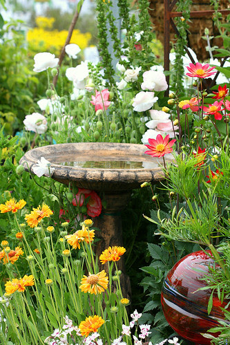 birdbath