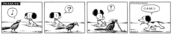 Peanuts