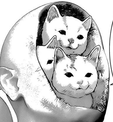 Should I Get Into Manga Neogaf