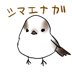 Lineスタンプ シマエナガ の完全一覧 全390種類
