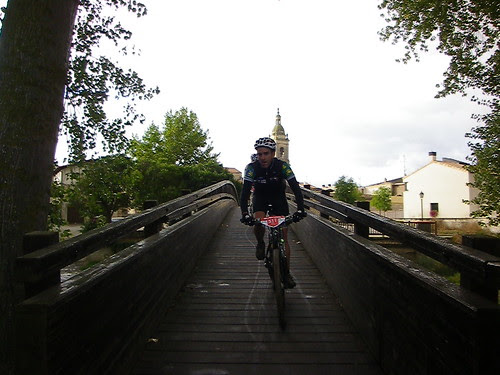 IMGP0595