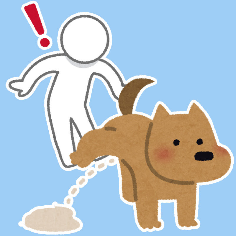 犬用のマーキング防止のマナーベルトって