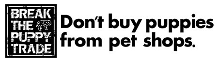 http://www.petrescue.com.au/member/1537