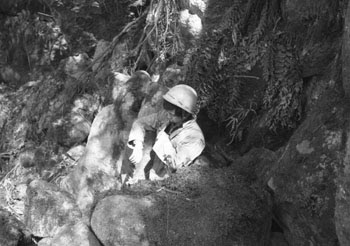 平尾台 目白洞の発見 学習院大学探検部 1969年