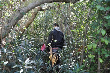 ط§ط¶ط؛ط· ط¹ظ„ظ‰ ط§ظ„طµظˆط±ط© ظ„ط±ط¤ظٹطھظ‡ط§ ط¨ط§ظ„ط­ط¬ظ… ط§ظ„ط·ط¨ظٹط¹ظٹ