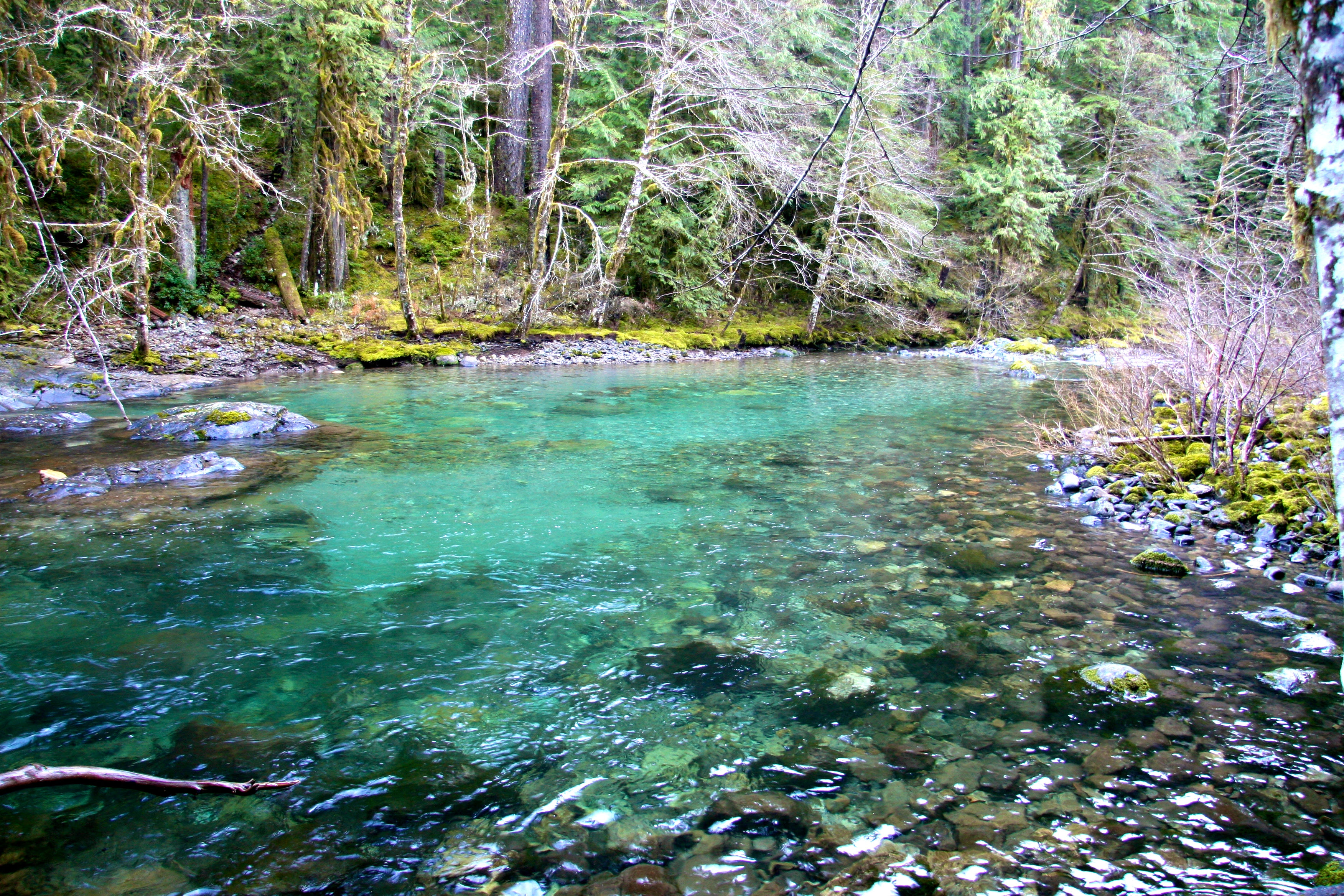 The 10 Most Beautiful Spring Hikes In Oregon Huffpost Life The 10 Most Beautiful Spring Hikes In Oregon Huffpost Life